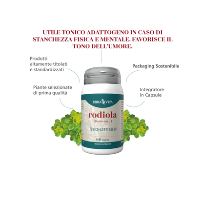 Erba Vita Rodiola Rosea – 60 Capsule | Tonico Adattogeno Concentrazione ed Energia